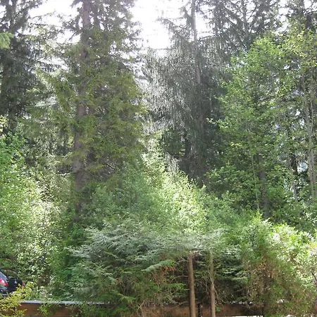 Alpenkorps Fewo Appartamento Mittenwald